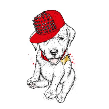 Bir kap içinde köpek yavrusu. Vektör çizim bir kartpostal veya poster, giysiler için yazdırma için. Şirin köpek. Labrador. Giysi ve aksesuarları.