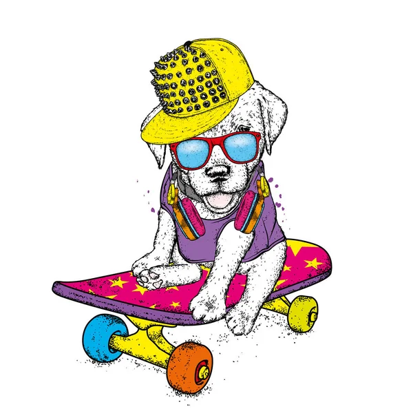 Lustiger Hund Auf Einem Skateboard Vektorillustration Rassehund Welpe Mit Mütze — Stockvektor