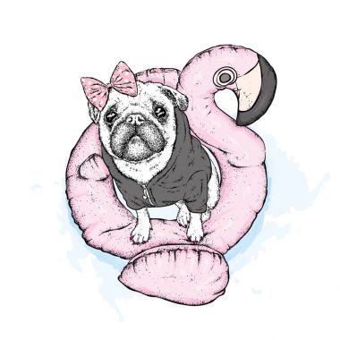 Komik boksör bir pembe flamingo şeklinde şişme çember üzerindeki. Bir yüzme daire ve bir safkan köpek.