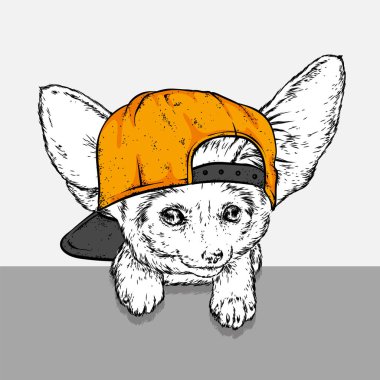 Gözlük ve kulaklık koca kulaklı küçük bir tilki. Vektör çizim bir kartpostal veya poster, giysiler için yazdırma için. Komik hayvan. rezene tilki