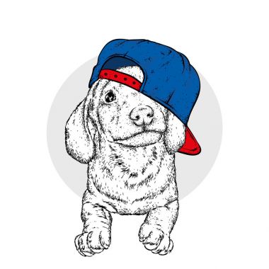 Gözlük ve kulaklık ile komik köpek yavrusu. Safkan köpek yavrusu. Vektör çizim.