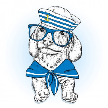 Denizci kıyafetleri güzel bir köpek. Vektör çizim. Hayvan giysiler ve aksesuarlar. Bir denizci bir şapka ve kravat. Safkan köpek yavrusu.