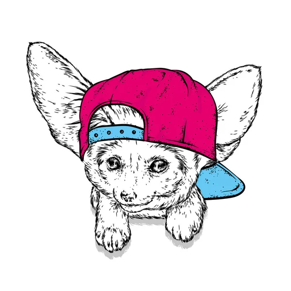 戴眼镜和耳机的大耳朵的小狐狸 用于明信片或海报的矢量插图 用于打印衣服 有趣的动物 Fennec — 图库矢量图片