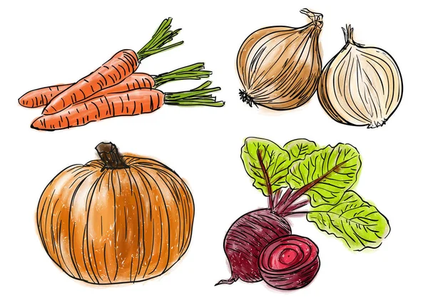 Rodzaje świeżych warzyw — Wektor stockowy
