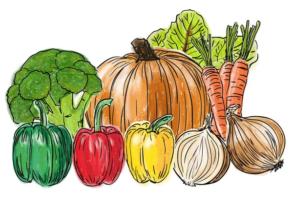 Types de légumes frais nature morte — Image vectorielle