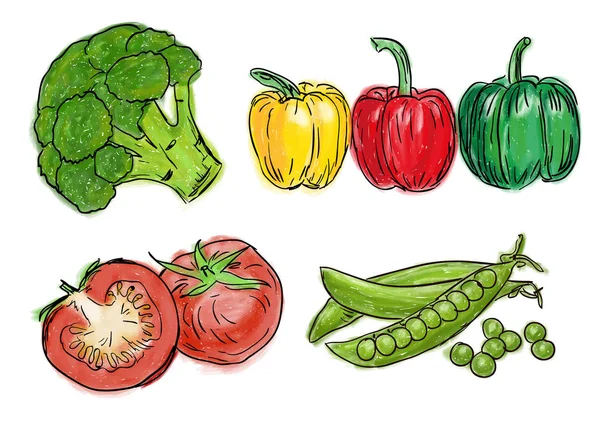 Arten von frischem Gemüse — Stockvektor