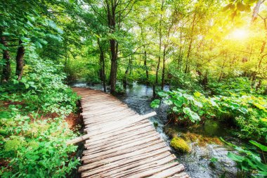Ahşap döşeme üzerinde mavi su. Plitvice Gölleri, Hırvatistan