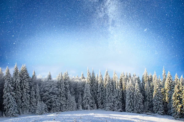 Kouzelný Zimní Sníh Pokrytý Stromem Zimní Krajina Živé Noční Nebe — Stock fotografie