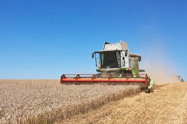 Una Moderna Mietitrice Che Lavora Campo Grano — Foto Stock