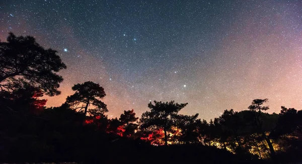 Fantastischer Meteorschauer Und Die Schneebedeckten Berge — Stockfoto