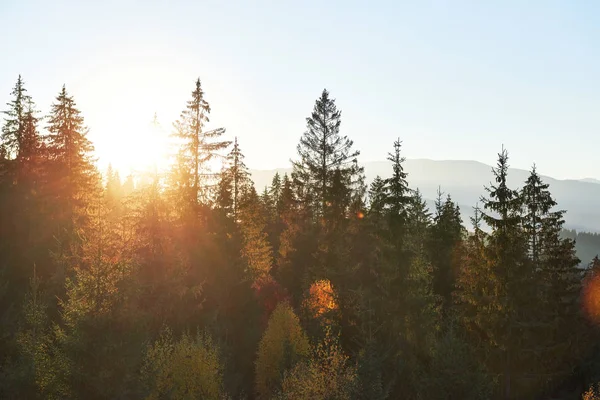 Die Herbstliche Berglandschaft Mit Bunten Wäldern Dramatische Morgenszene Rote Und — Stockfoto