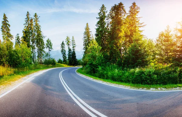 Camino Asfalto Las Montañas Belleza Del Mundo Europa — Foto de Stock