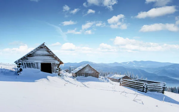 Mysterieus Winterlandschap Majestueuze Bergen Winter Magische Winter Besneeuwde Boom Winterweg — Stockfoto