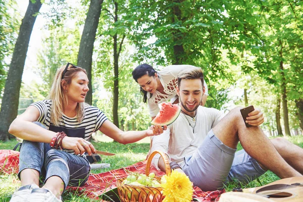 Vriendengroep Die Picknick Hebben Een Park Een Zonnige Dag Mensen — Stockfoto