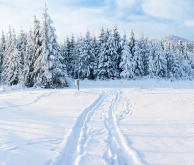 Muhteşem kış manzarası, yol, dağlara açılan bir şey. Dağlarda dondurucu ve güneşli bir gün. Tatil beklentisiyle. Carpathian, Ukrayna, Avrupa. Mutlu yıllar.