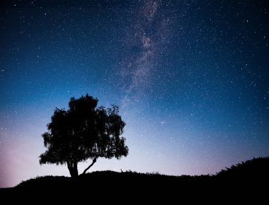 Gece yıldızlı gökyüzü ve tepedeki ağaç siluetiyle manzara. Yalnız ağaçlı, kayan yıldızlı Samanyolu. Evren