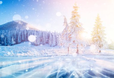 Kış mevsiminin esrarengiz manzarası kışın görkemli dağları. Sihirli kar kaplı ağaç. Önde kış gölü dondu. Bokeh ışık efekti, yumuşak filtre. Karpatyalı. Ukrayna. Avrupa
