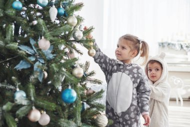 Mutlu Noeller ve mutlu tatiller! Genç kızlar Noel ağacını süslemeye yardım ediyorlar, ellerinde bazı Noel mücevherleri tutuyorlar..