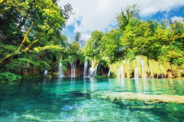 Ulusal Park Plitvice Hırvatistan 'da gölde yüzen balıkların fotoğrafı