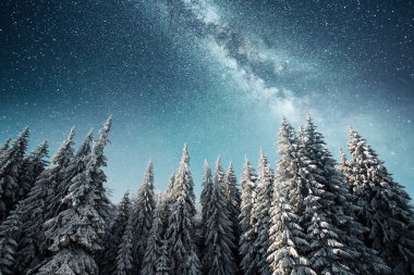Sihirli kış karla kaplı ağaç. Kış manzarası. Yıldızlar, nebula ve galaksiyle dolu canlı bir gece göğü. Derin gökyüzü gökyüzü fotoğrafı.