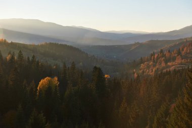 Karpatlar, Ukrayna, Avrupa 'daki derin orman vadisinde güzel bir sonbahar sabahı..