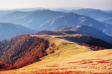 Yayla bitki örtüsü mütevazı yaz ve sonbahar soğuk hava önce alışılmadık derecede güzel renkler kütükler. Yaban mersini parlak kırmızı, iğne yapraklı orman yeşil, turuncu buk-dağlar sinie-fantastik çekicilik.