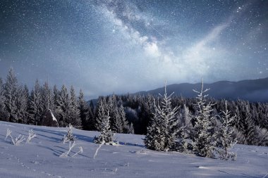 Sihirli kış karla kaplı ağaç. Kış manzarası. Yıldızlar, nebula ve galaksiyle dolu canlı bir gece göğü. Derin gökyüzü gökyüzü fotoğrafı.