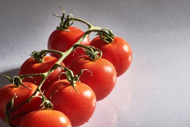 Beyaz arka planda kırmızı organik domates dalı.