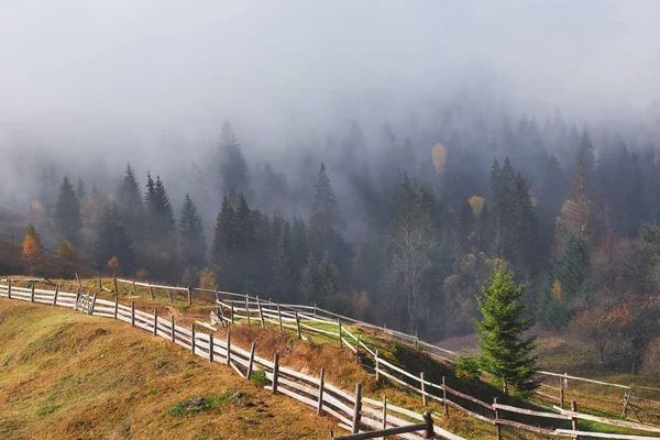 Piękna Poranna Mgła Promienie Słońca Zboczu Góry Jesiennym Lesie Sosnowym — Zdjęcie stockowe