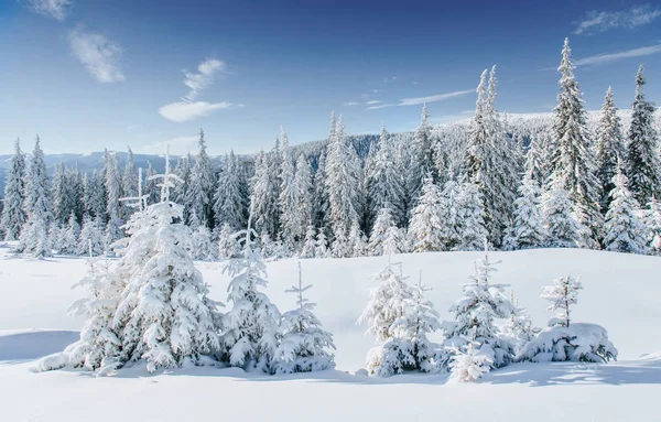 Fantastische Winterlandschap Magische Zonsondergang Bergen Een Ijzig Dag Aan Vooravond — Stockfoto