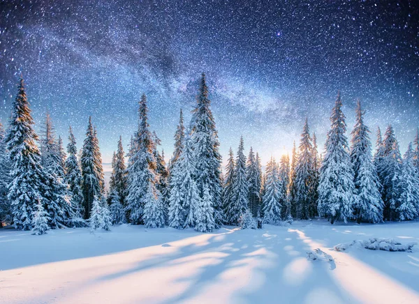 Dairy Star Trek Zimowych Lasach Tajemniczy Zimowy Krajobraz Majestatyczne Góry — Zdjęcie stockowe