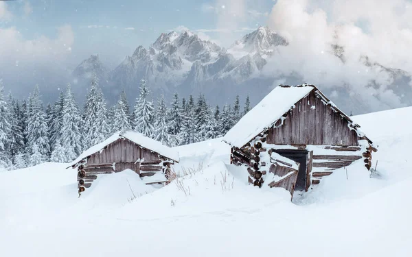 Cabane Dans Les Montagnes Hiver Mystérieux Brouillard Prévision Des Vacances — Photo