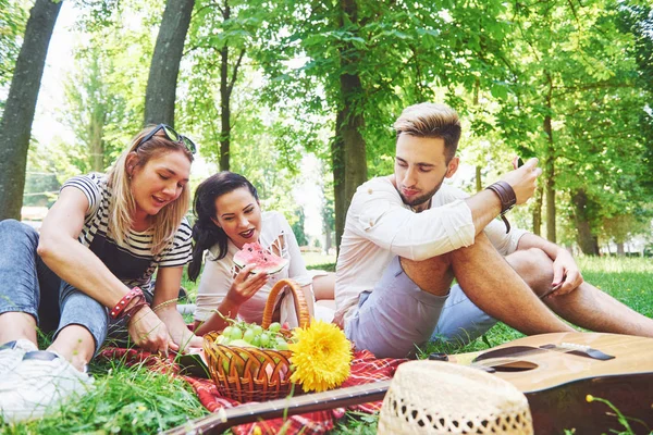 Groupe Amis Ayant Pic Nic Dans Parc Par Une Journée — Photo