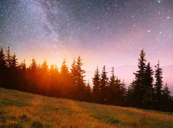 Fantastisk Stjärnhimmel Och Mjölkig Väg Ovanför Tinnarna Tallar — Stockfoto