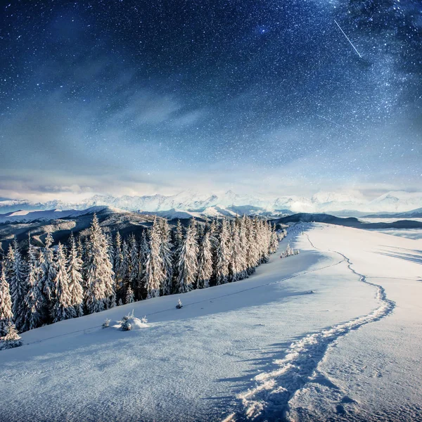 冬の雪の夜の星空を 幻想的な天の川の大晦日 休日を見越して 劇的なシーン カルパティア ウクライナ — ストック写真