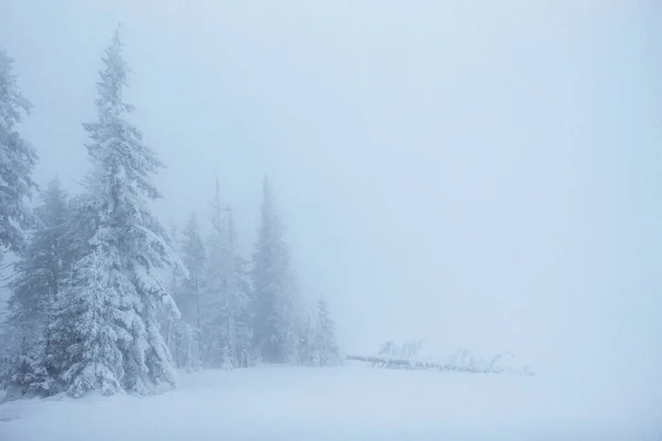 Fantastisk Vinterlandskap Kvelden Før Høytiden Den Dramatiske Scenen Karpatene Ukraina – stockfoto