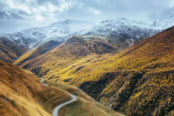 Fantastyczny Złoty Jesienny Krajobraz Pomiędzy Skalistymi Górami Gruzji Kamienna Droga — Zdjęcie stockowe