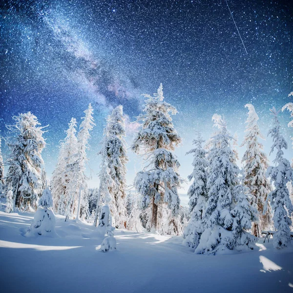 冬の雪の夜の星空を 幻想的な天の川の大晦日 休日を見越して 劇的なシーン カルパティア ウクライナ — ストック写真