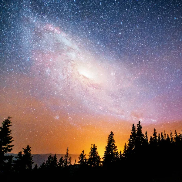 Fantastischer Sternenhimmel Und Die Milchstraße Über Den Zinnen Der Kiefern — Stockfoto