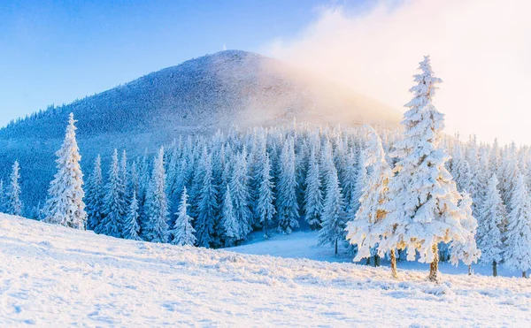 Mystiska Vinterlandskap Majestätiska Berg Vintern Magiska Vintersnötäckta Träd Vinterväg Bergen — Stockfoto