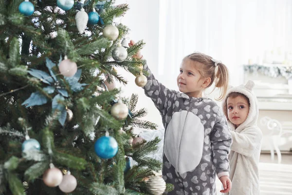 Feliz Natal Boas Festas Meninas Jovens Ajudando Decorar Árvore Natal — Fotografia de Stock