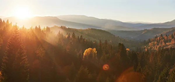 Morning Fog Creeps Scraps Autumn Mountain Forest Covered Gold Leaves — Stock Photo, Image