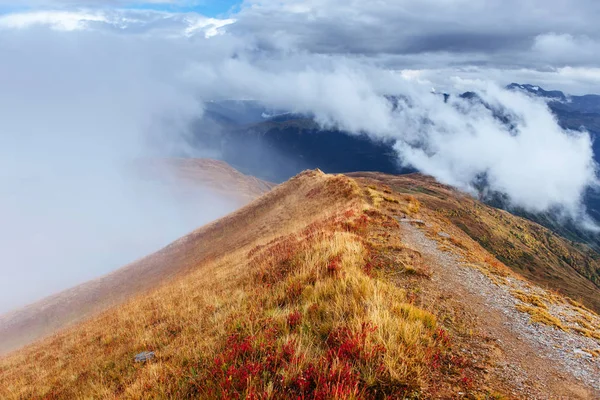 Niebla Gruesa Paso Montaña Goulet Georgia Svaneti Europa Montañas Del —  Fotos de Stock