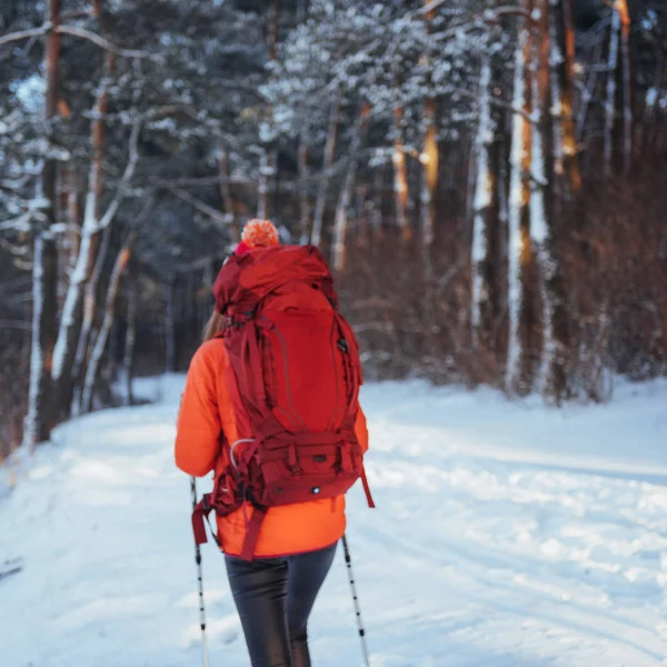 Mulher Viajante Com Mochila Caminhadas Viagem Estilo Vida Conceito Aventura — Fotografia de Stock