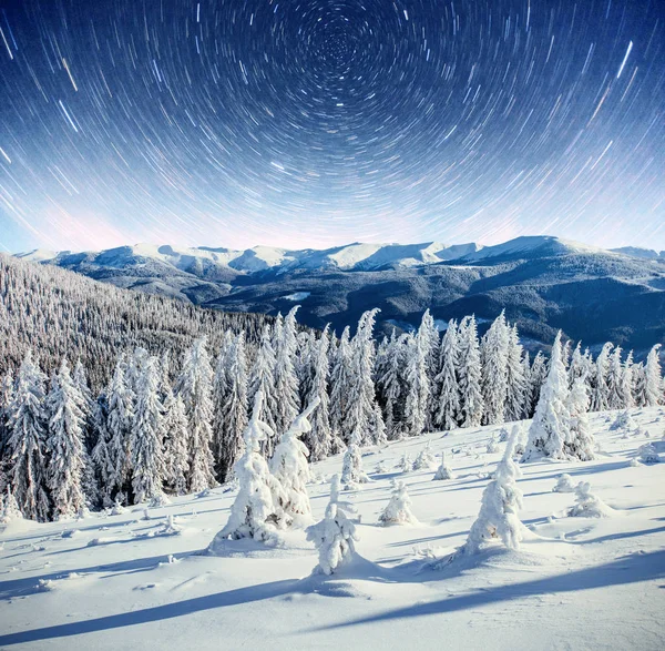 Cielo Stellato Nella Notte Nevosa Invernale Fantastica Lattea Capodanno Previsione — Foto Stock