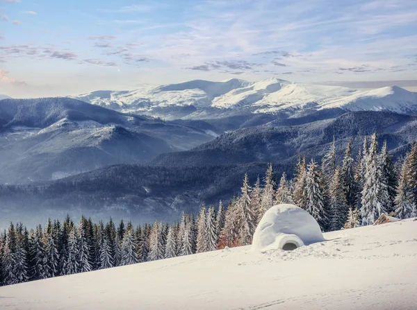 Tussen Landschapsbomen Hekwerk Vorst Achtergrond Met Enkele Zachte Highlights Sneeuwvlokken — Stockfoto