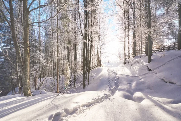 Estrada Inverno Cena Dramática Cárpatos Ucrânia Europa — Fotografia de Stock