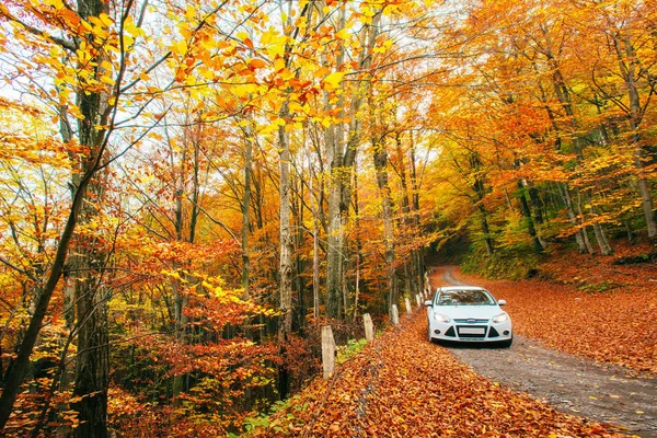 Weißes Auto Auf Einem Waldweg Goldener Herbst — Stockfoto