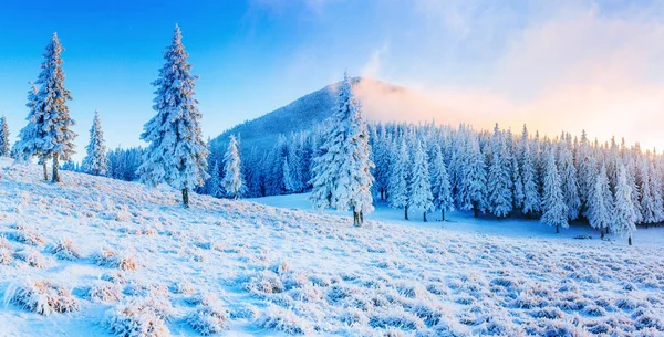 Ciel Étoilé Hiver Nuit Enneigée Fantastique Voie Lactée Dans Saint — Photo