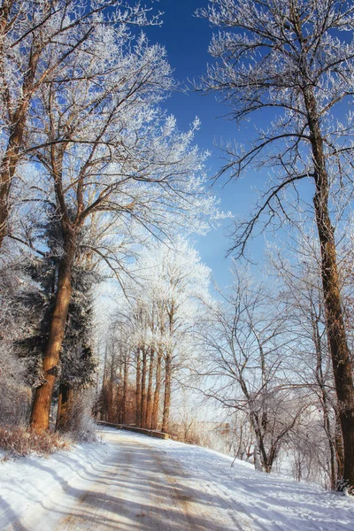 Estrada Inverno Cena Dramática Cárpatos Ucrânia Europa — Fotografia de Stock